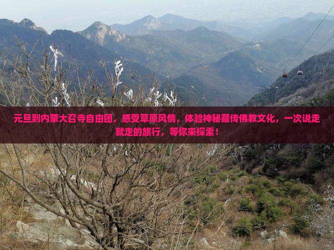 元旦到内蒙大召寺自由团