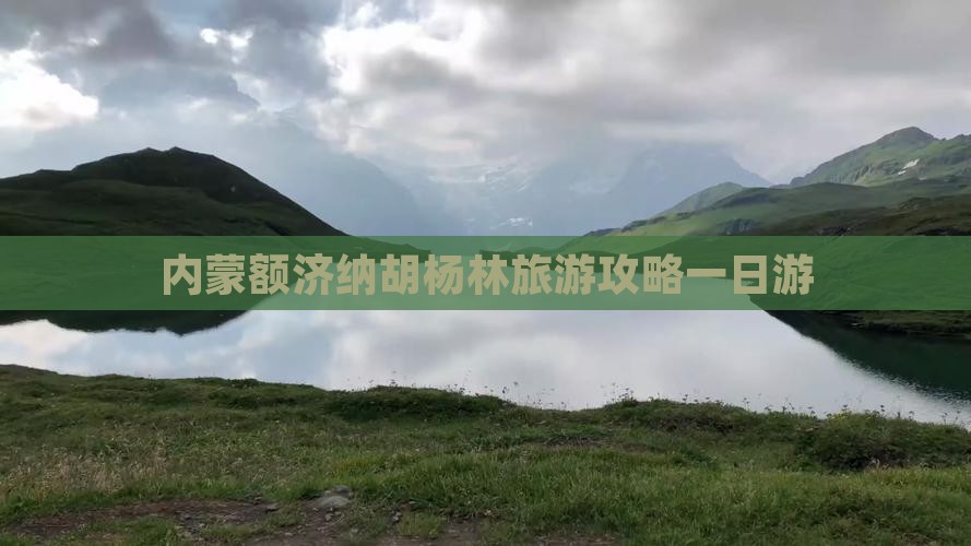 泰州去内蒙额济纳胡杨林一日游