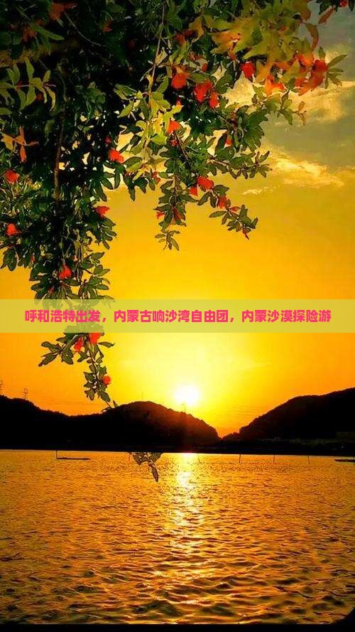 呼和浩特去内蒙响沙湾自由团