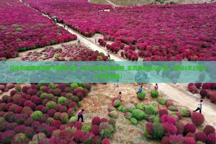绥化到内蒙成吉思汗陵旅行社