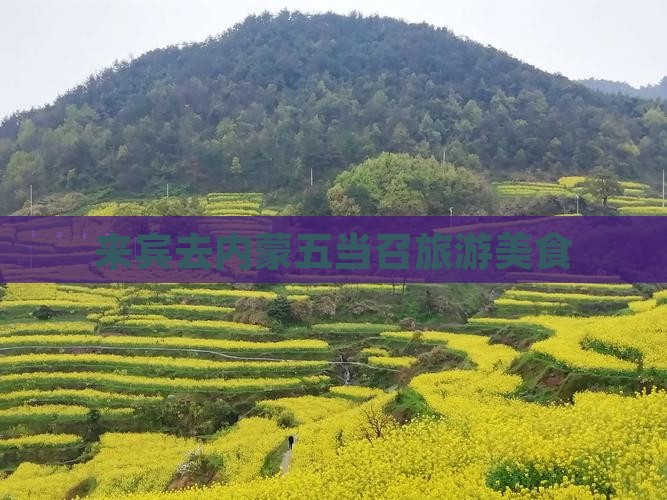 来宾去内蒙五当召旅游小吃