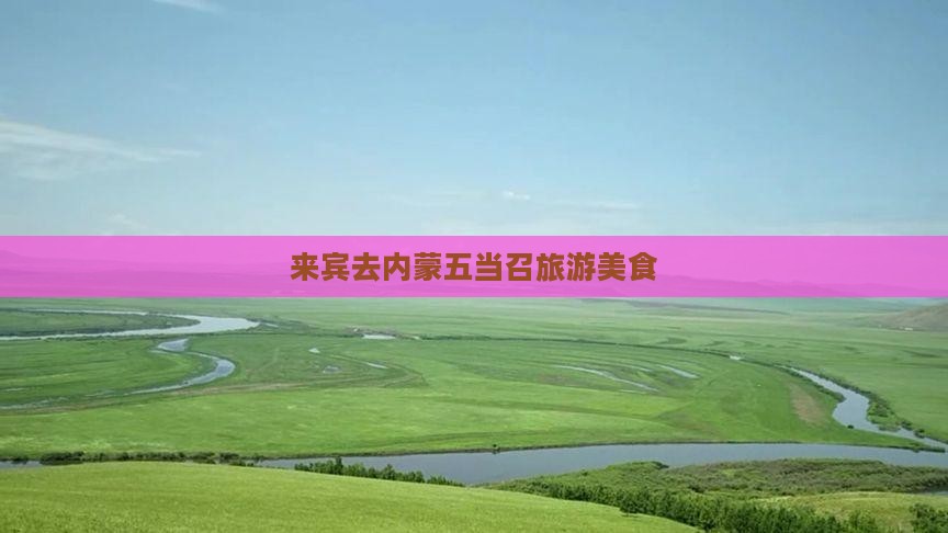 来宾去内蒙五当召旅游小吃