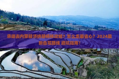 承德去内蒙额济纳胡杨林攻略