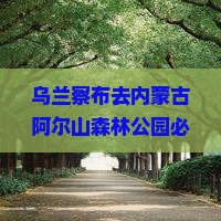 乌兰察布去内蒙阿尔山国家森林公园哪里玩
