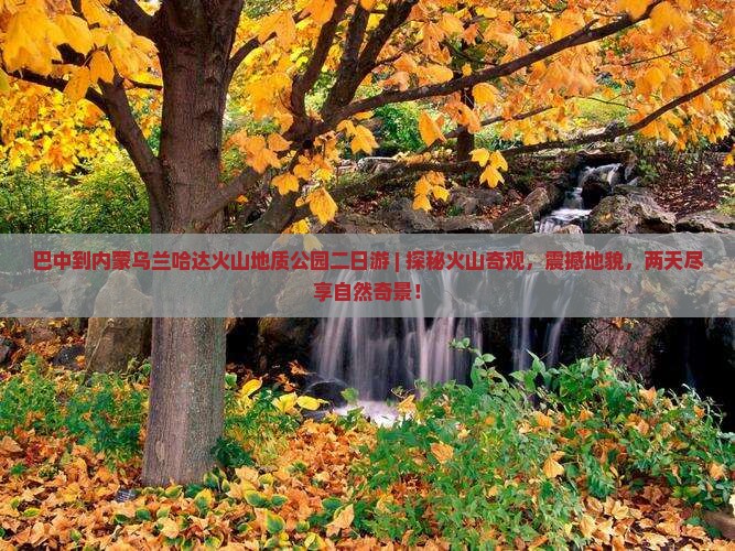 巴中到内蒙乌兰哈达火山地质公园二日游