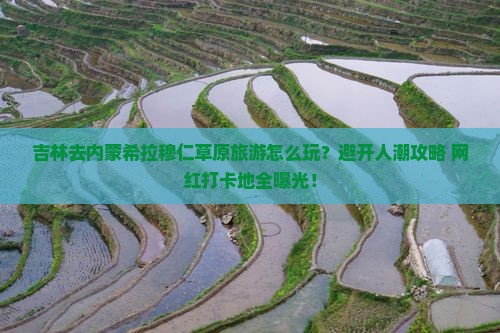 吉林去内蒙希拉穆仁草原旅游