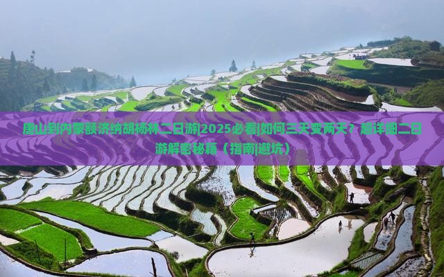 唐山到内蒙额济纳胡杨林二日游