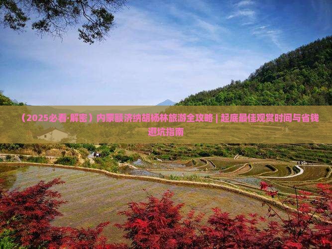 襄樊去内蒙额济纳胡杨林必去地