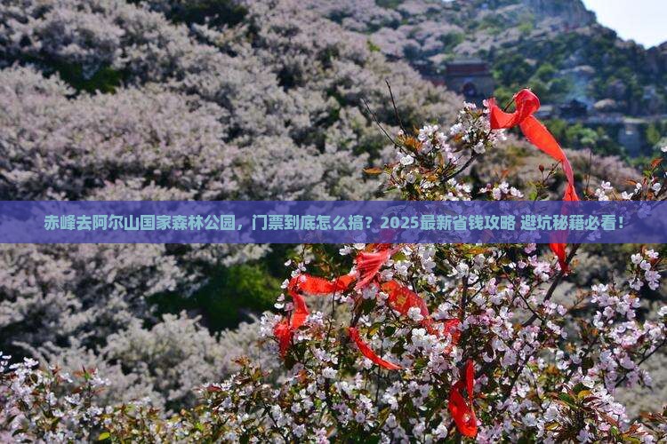 赤峰到内蒙阿尔山国家森林公园门票