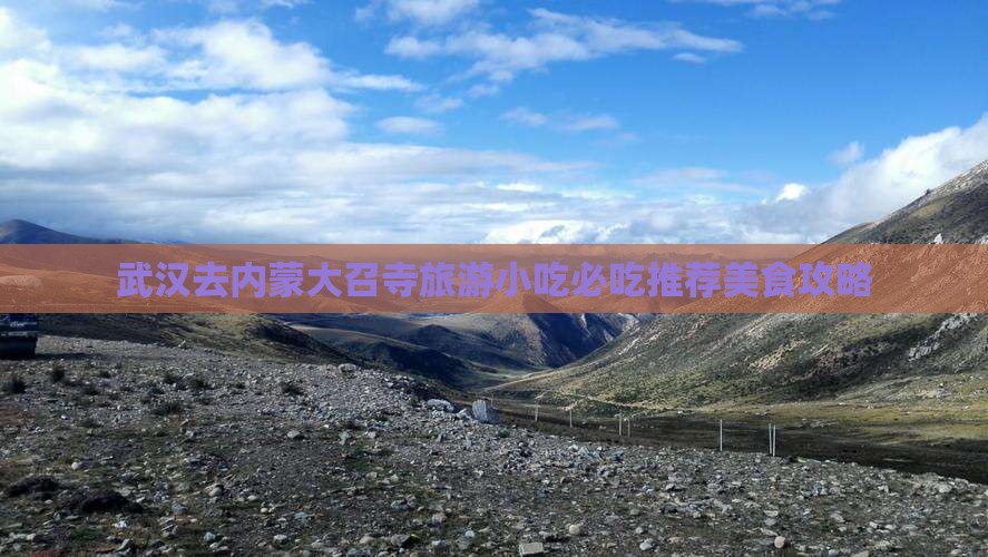 武汉去内蒙大召寺旅游小吃