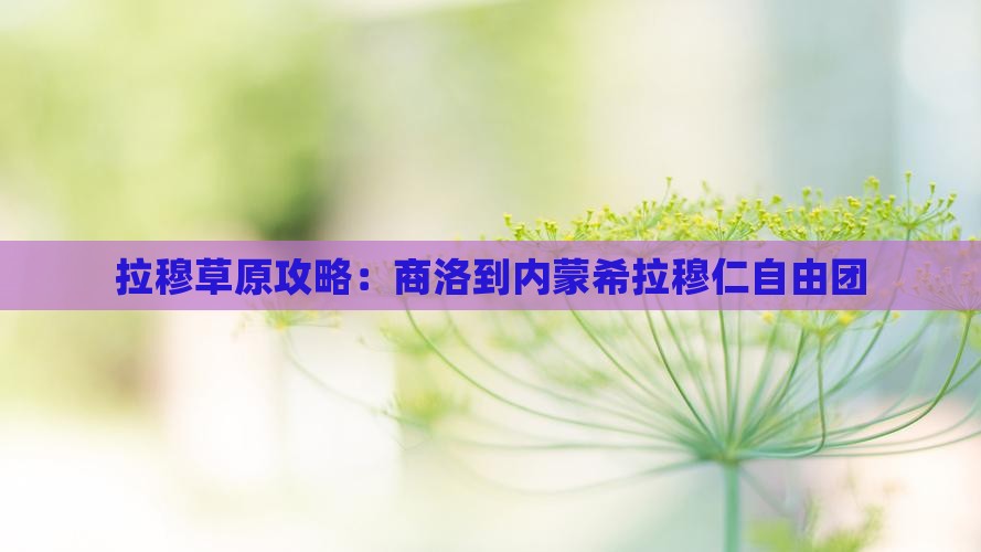 商洛到内蒙希拉穆仁草原自由团