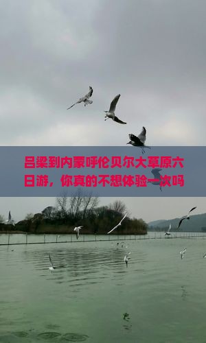 吕梁到内蒙呼伦贝尔大草原六日游