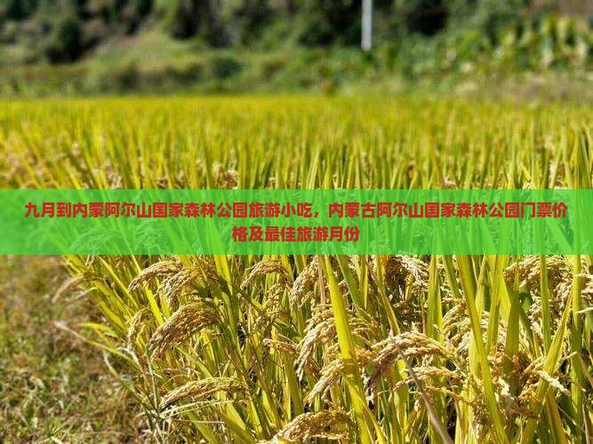 九月到内蒙阿尔山国家森林公园旅游小吃