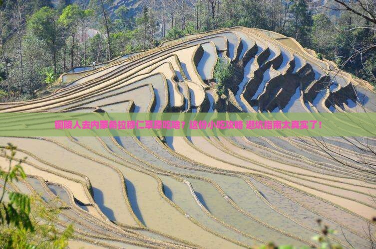 铜陵去内蒙希拉穆仁草原旅游小吃