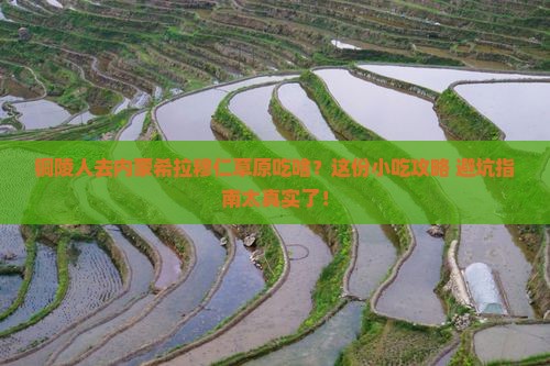 铜陵去内蒙希拉穆仁草原旅游小吃