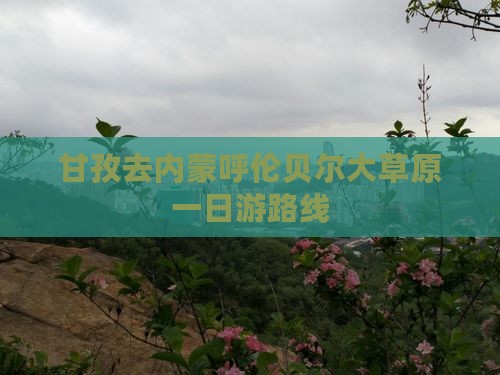 甘孜去内蒙呼伦贝尔大草原一日游