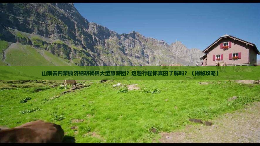 山南去内蒙额济纳胡杨林大型旅游团