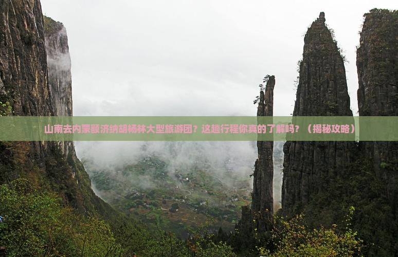 山南去内蒙额济纳胡杨林大型旅游团