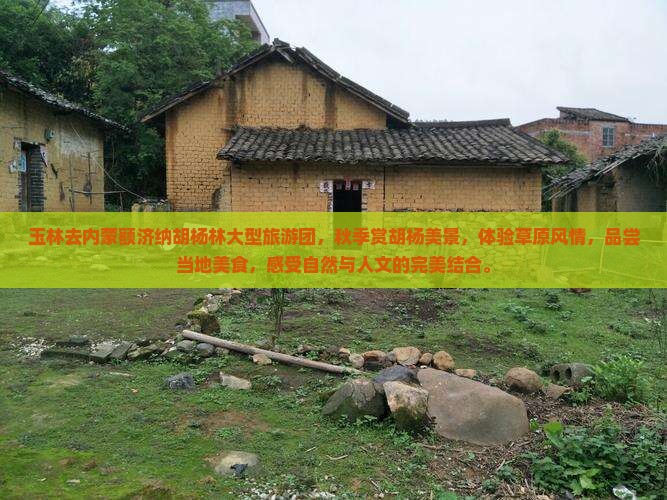玉林去内蒙额济纳胡杨林大型旅游团