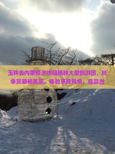玉林去内蒙额济纳胡杨林大型旅游团