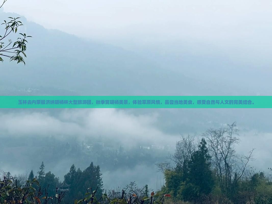玉林去内蒙额济纳胡杨林大型旅游团