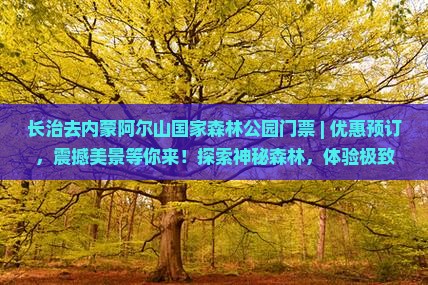 长治去内蒙阿尔山国家森林公园门票