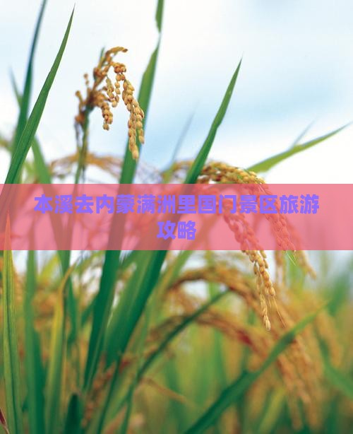 本溪去内蒙满洲里国门景区个人游