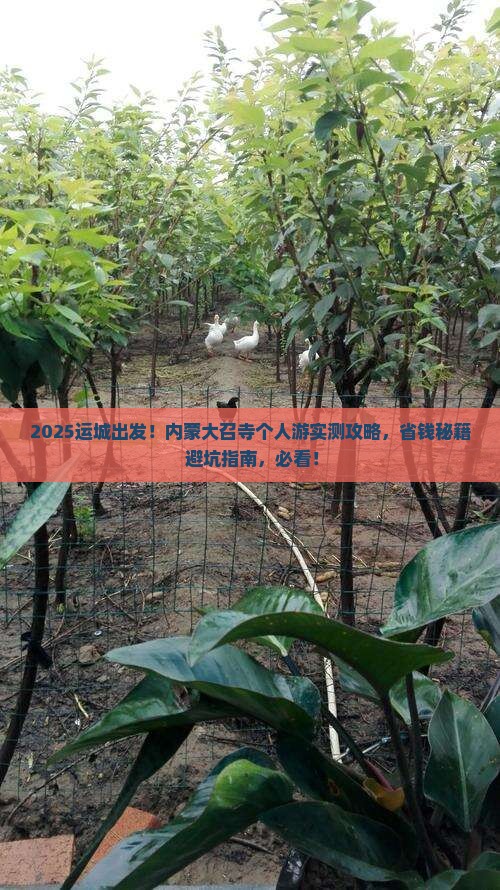 运城去内蒙大召寺个人游