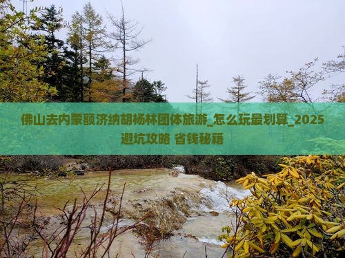 佛山去内蒙额济纳胡杨林团体旅游