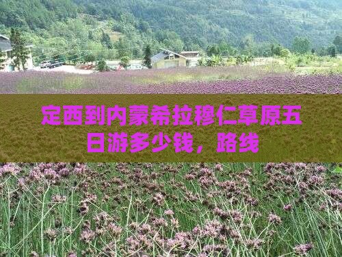 定西到内蒙希拉穆仁草原五日游