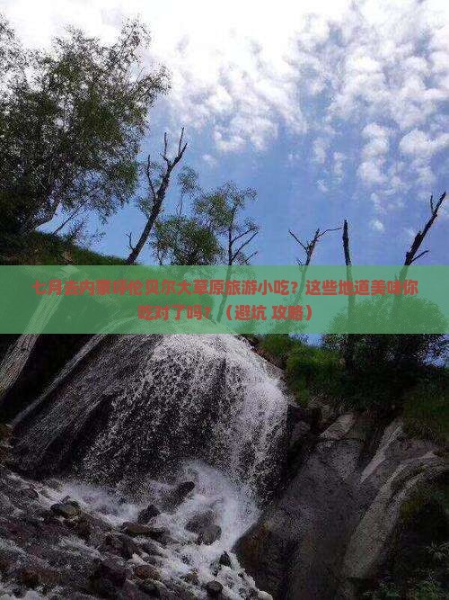 七月去内蒙呼伦贝尔大草原旅游小吃