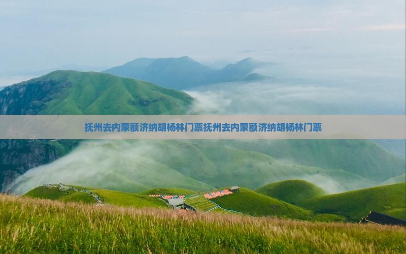 抚州去内蒙额济纳胡杨林门票