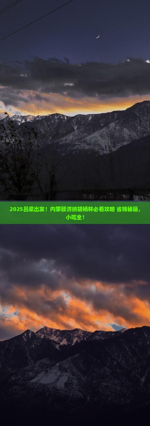 吕梁到内蒙额济纳胡杨林旅游小吃