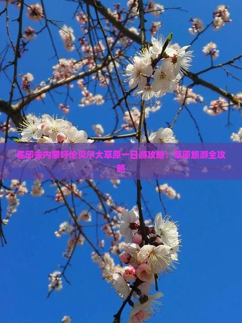 霍邱去内蒙呼伦贝尔大草原一日游