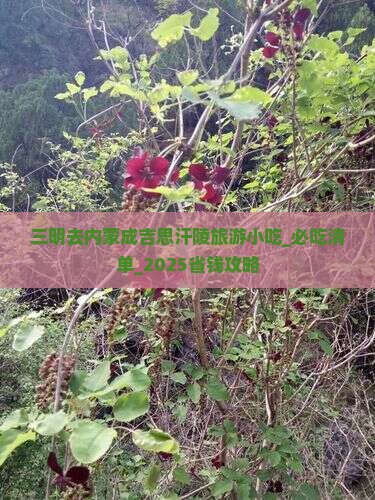 三明去内蒙成吉思汗陵旅游小吃