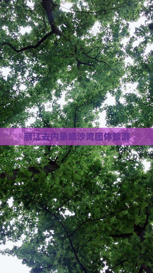 丽江去内蒙响沙湾团体旅游