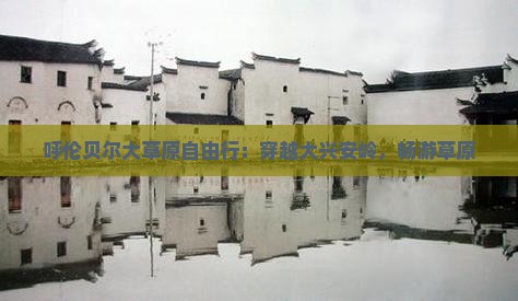 大兴安岭到内蒙呼伦贝尔大草原自由团
