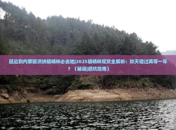 延边到内蒙额济纳胡杨林必去地 延边到内蒙额济纳胡杨林必去地