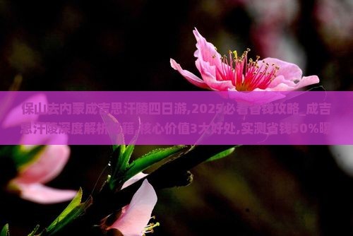 保山去内蒙成吉思汗陵四日游