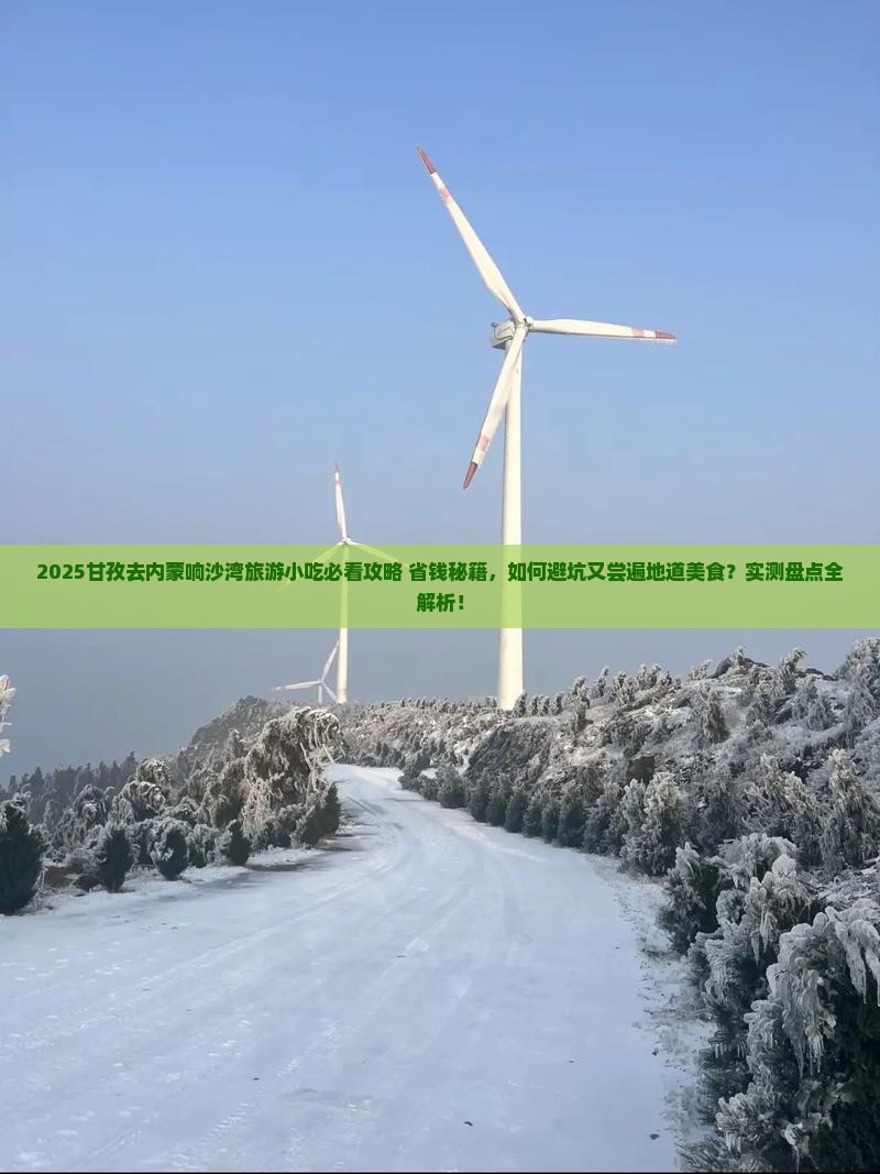 甘孜去内蒙响沙湾旅游小吃
