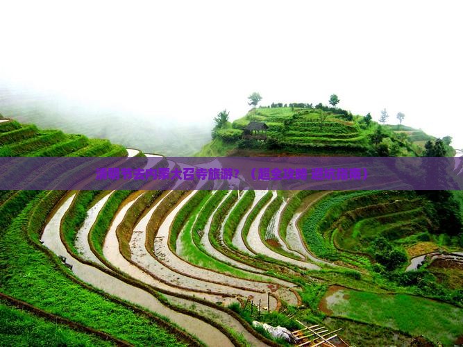 清明节去内蒙大召寺旅游