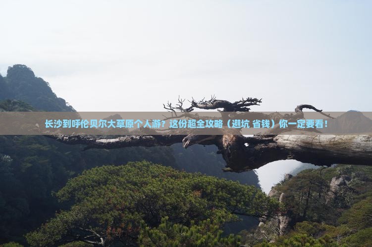 长沙到内蒙呼伦贝尔大草原个人游