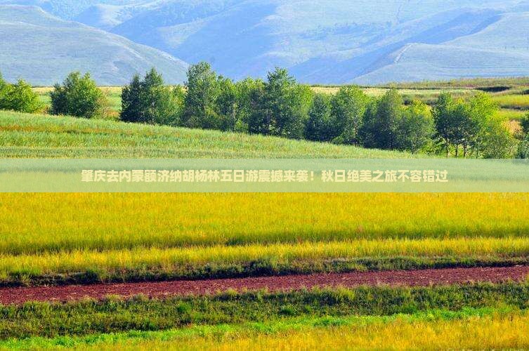 肇庆去内蒙额济纳胡杨林五日游