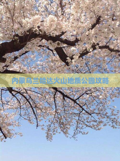 楚雄去内蒙乌兰哈达火山地质公园攻略