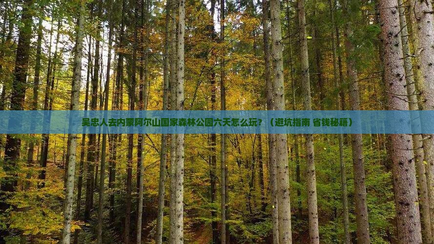 吴忠去内蒙阿尔山国家森林公园六日游