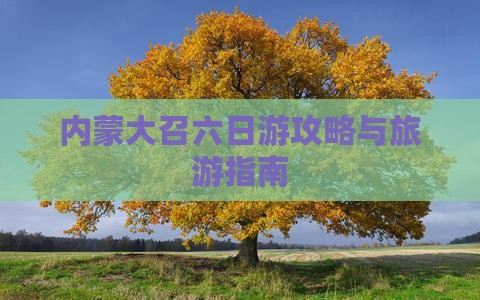 八月到内蒙大召寺六日游