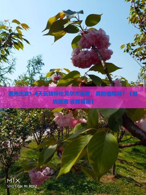 惠州到内蒙呼伦贝尔大草原四日游