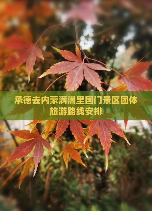 承德去内蒙满洲里国门景区团体旅游
