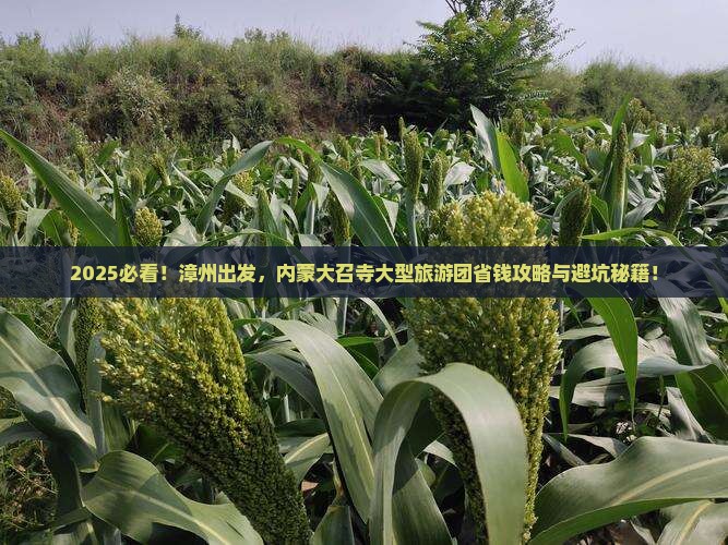 漳州到内蒙大召寺大型旅游团