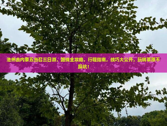 池州去内蒙五当召三日游
